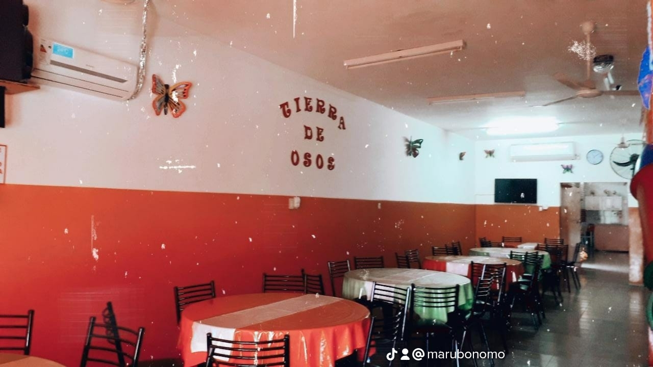 TIERRA DE OSOS