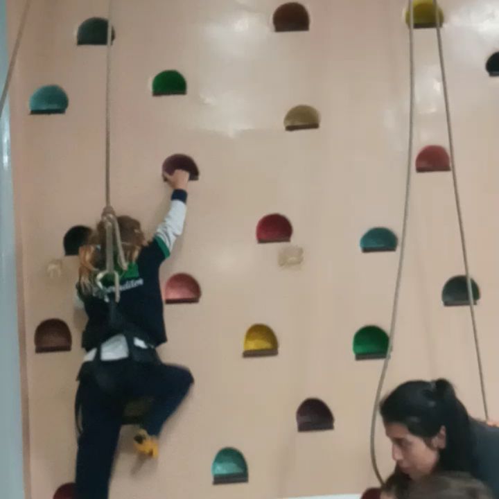 Indigo Multieventos