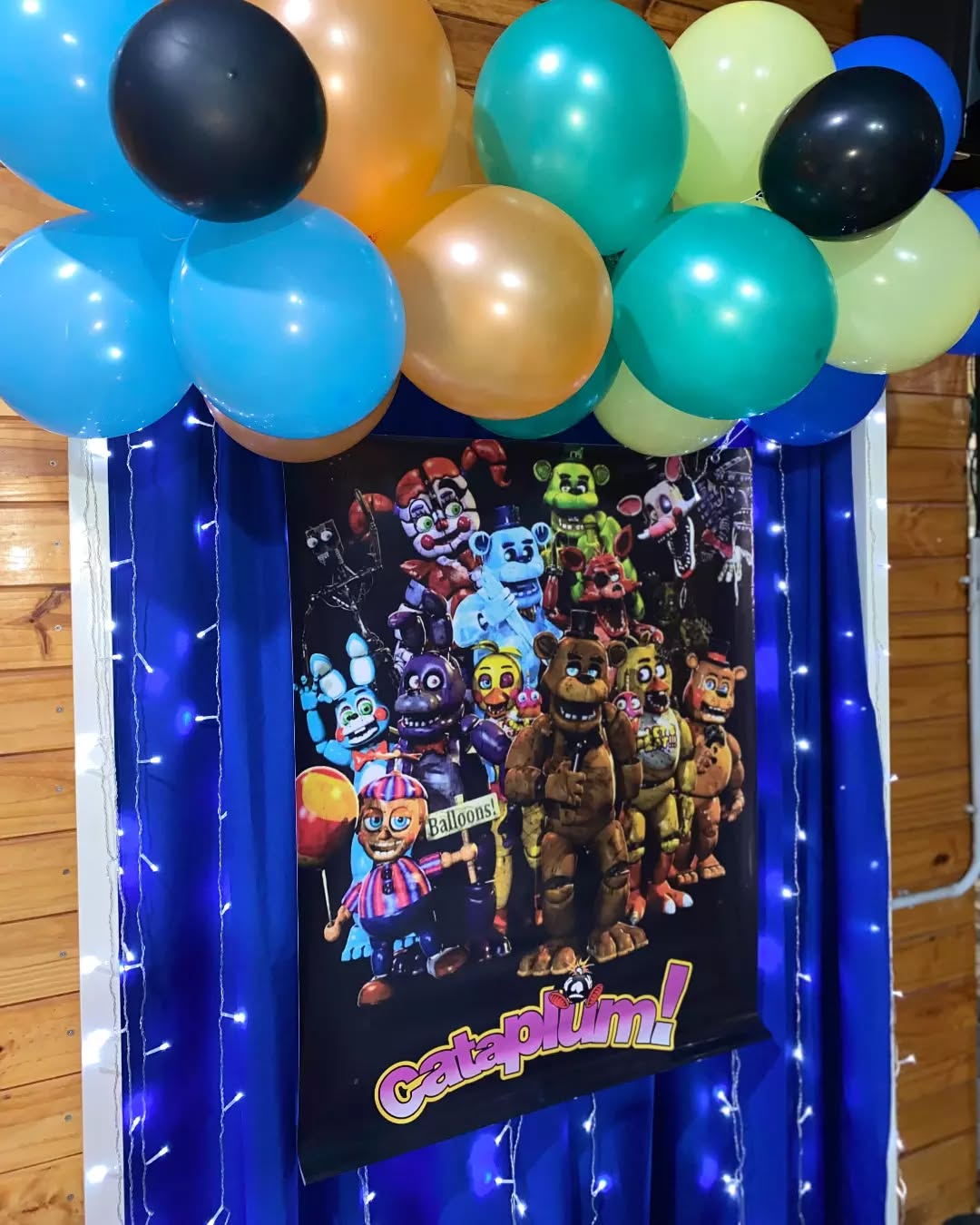 C A T A P L U M  Fiestas & Eventos 🎉
