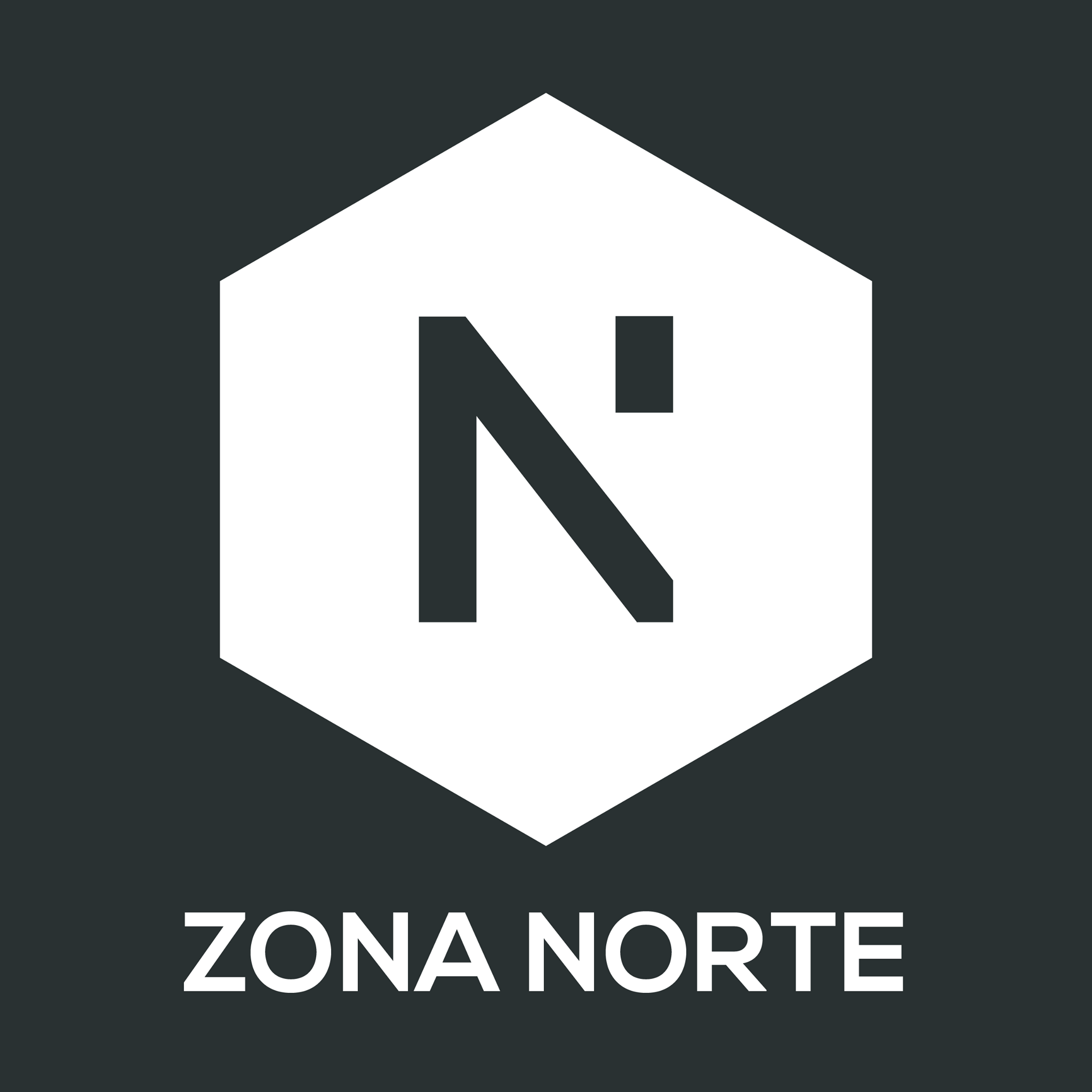 ZONA NORTE MULTIESPACIO